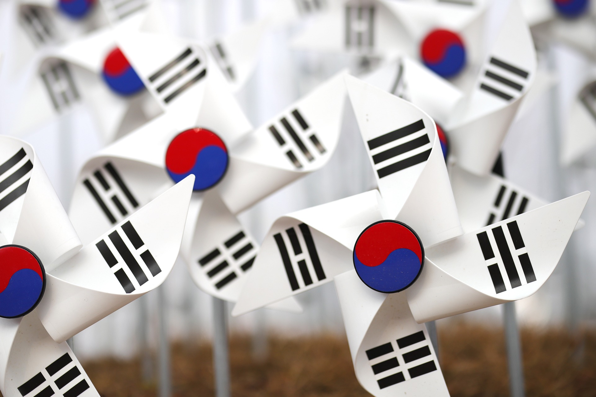 Korean flag pinwheels