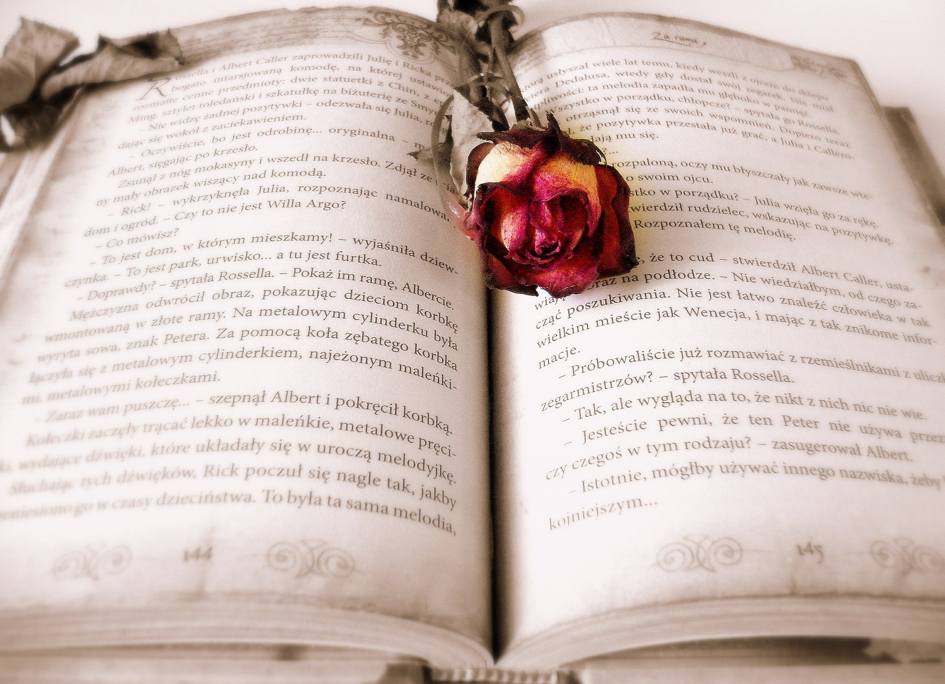 an open book with a dry red rose placed in the center