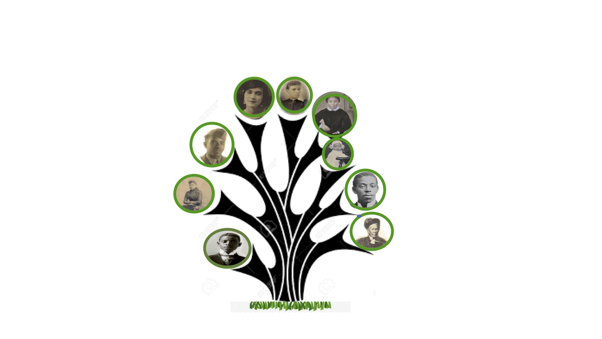 An image of a family tree