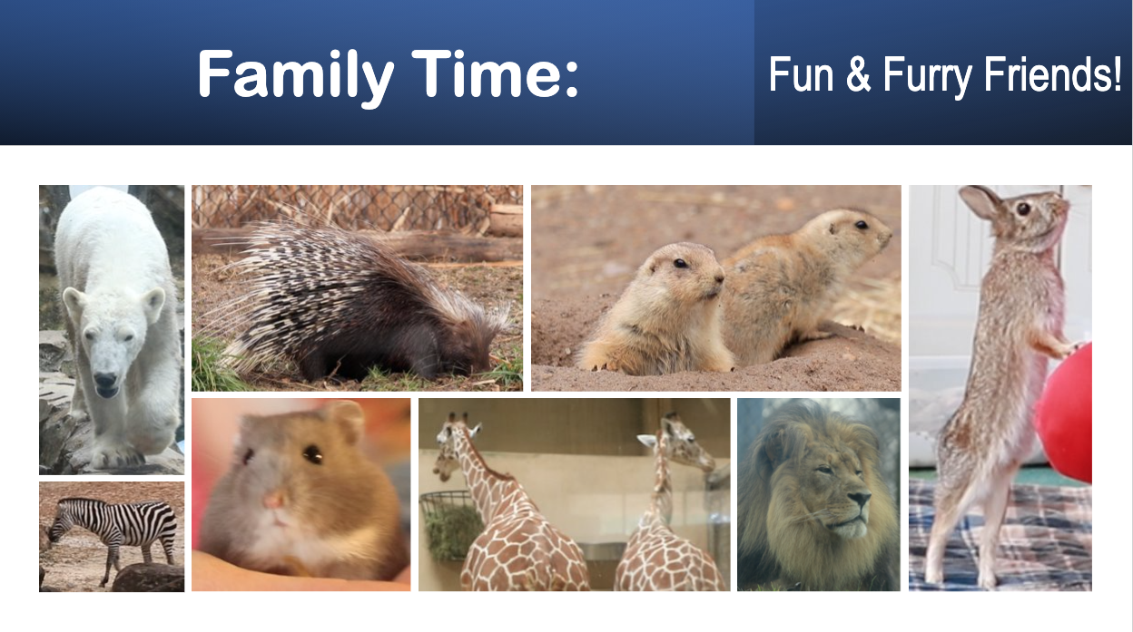 Family Time title polar bear porcupine prairie dog hamster lion giraffe pictures