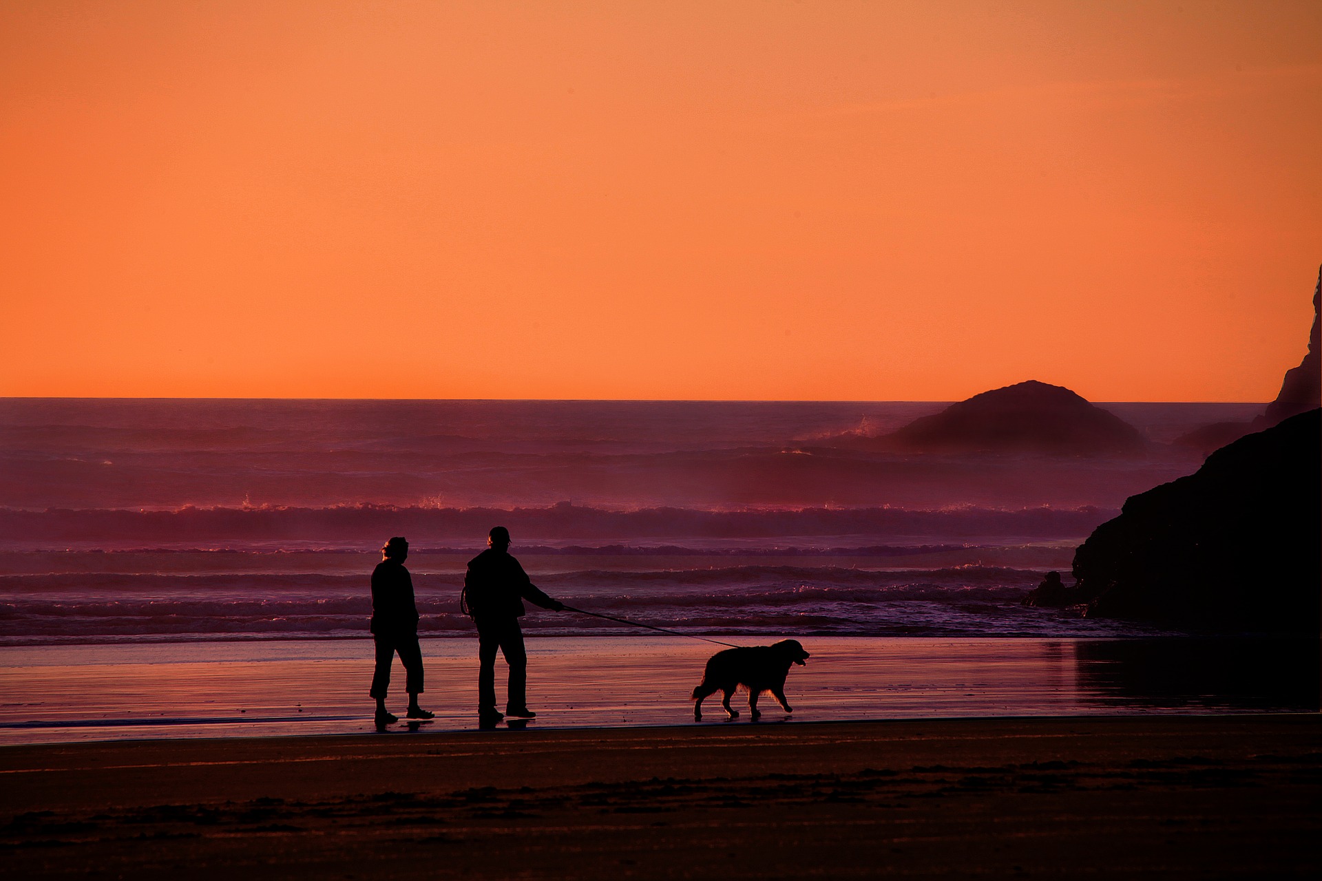 Senior couple walking a dog at the beach at sunset.