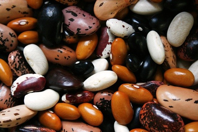 photograph of beans of assorted shapes, sizes, and colors 