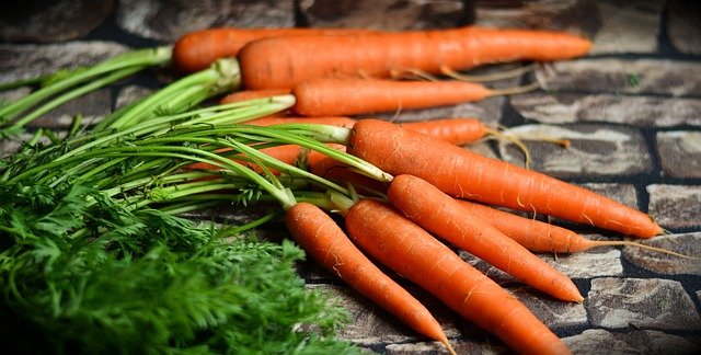 bundle of fresh orange carrots with long bright greens