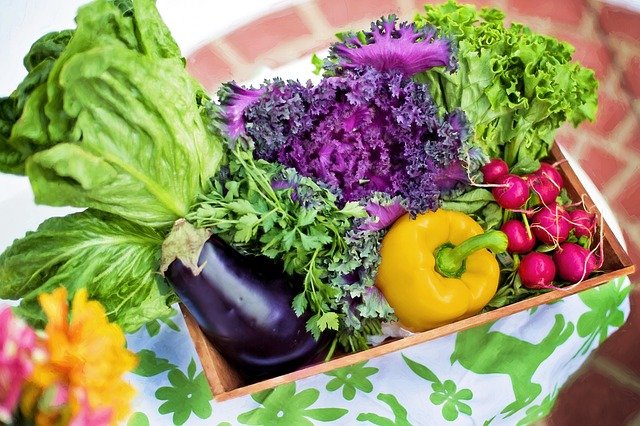 brightly colored assorted vegetables in a basket on a green floral patterned tablecloth