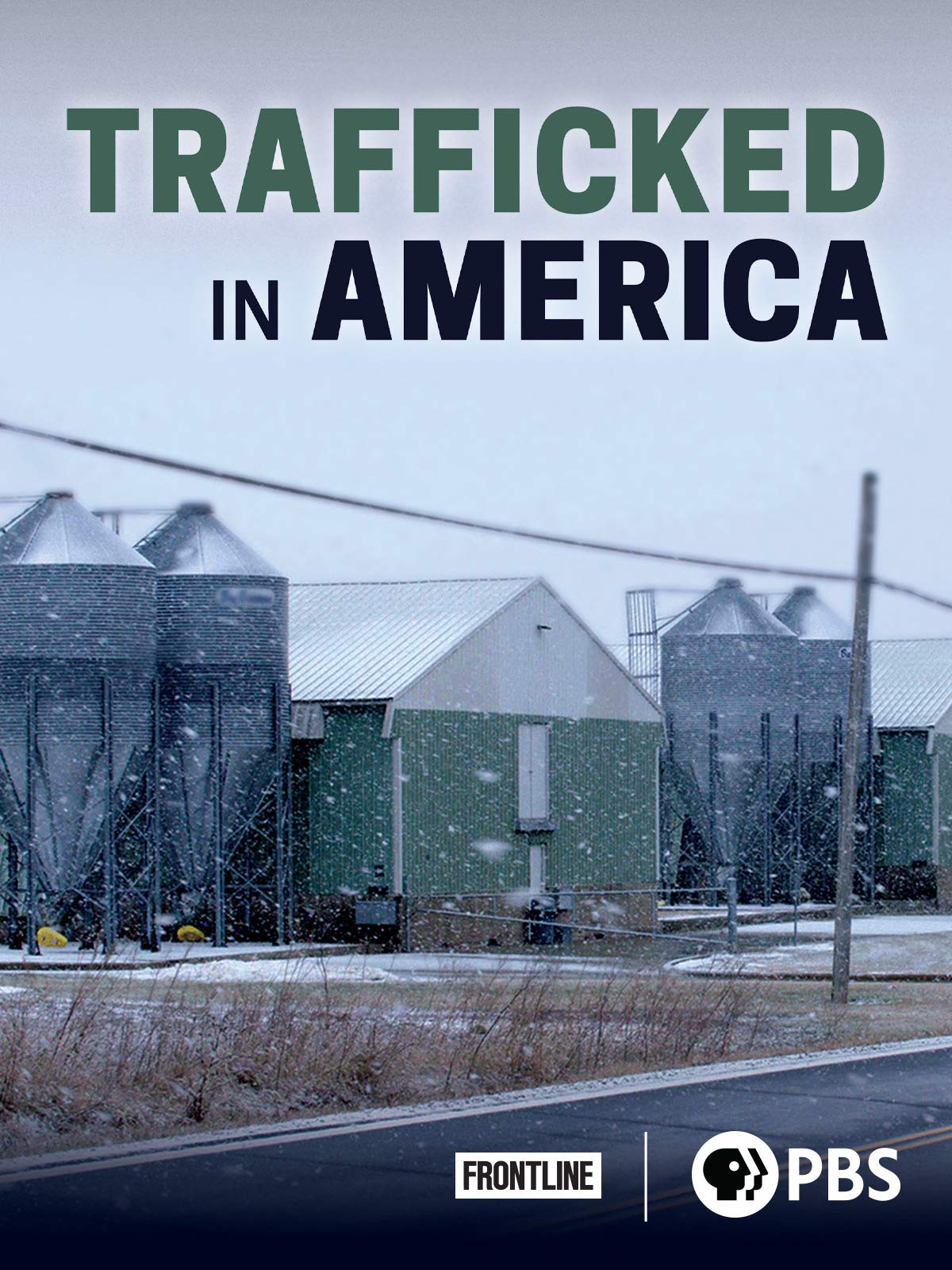 dvd cover for Trafficked in America showing a gray rural town street 