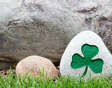 Painted Rock with Shamrock 