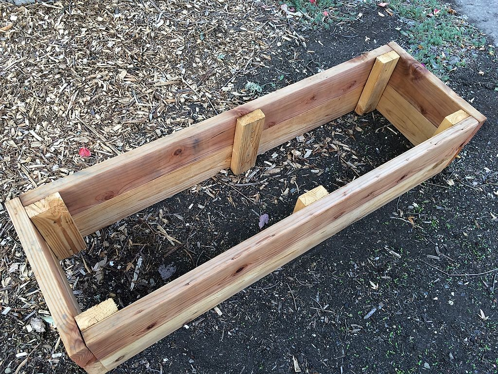 raised garden bed