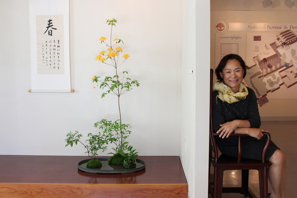 an image of a bonsai plant and young choe seated on a chair next to it
