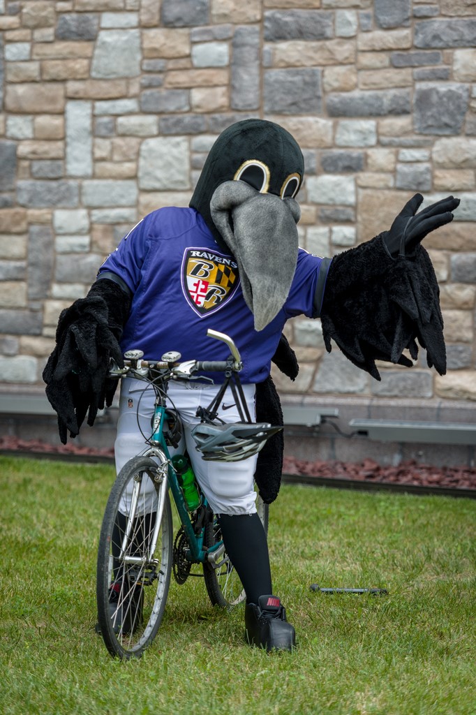 This image displays the Baltimore Ravens Poe mascot on a bicycle at the library.