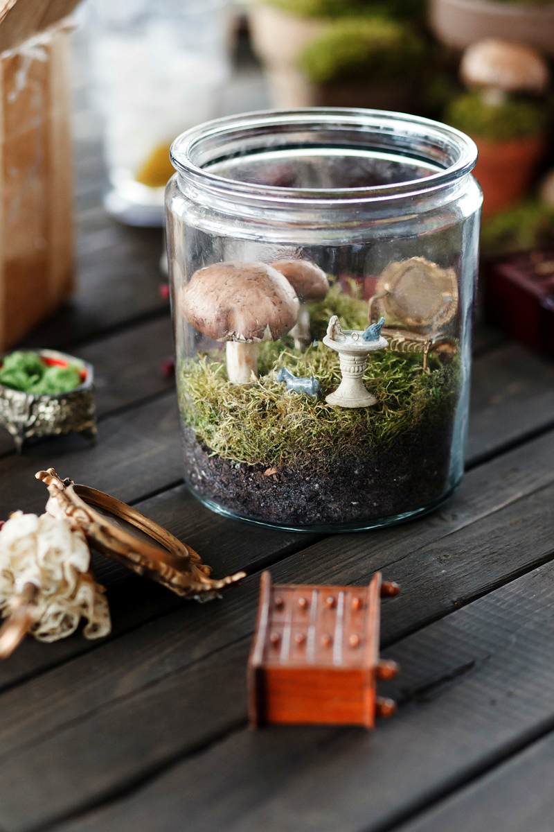 Picture is of a jar filled with dirt, various plants, and miniature law decorations and mushrooms. 