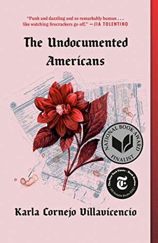 a pale pink cover with a large red flower and on a backdrop of gray passport pages