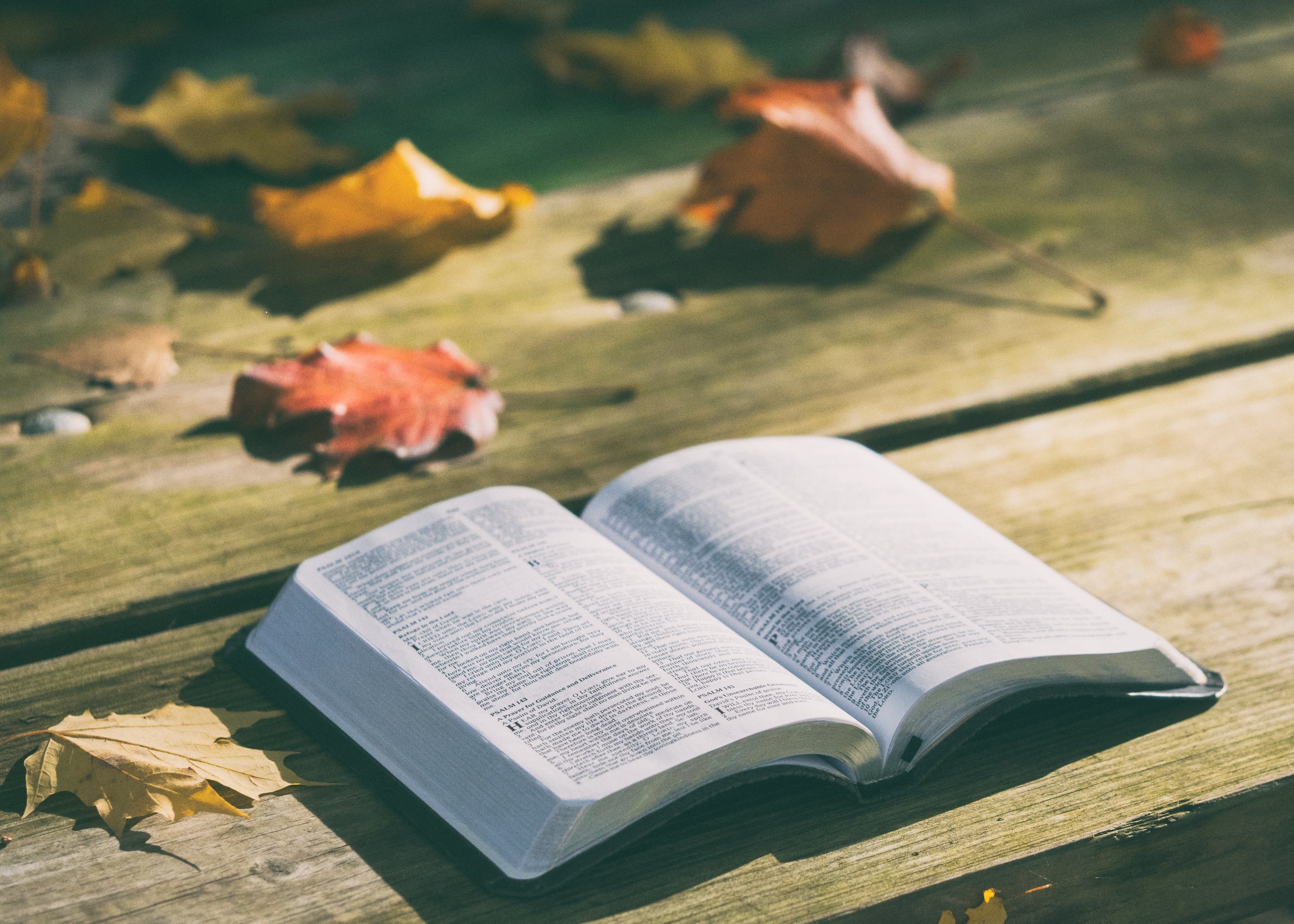 The image shows an open book on an outdoor wooden table, with autumn leaves in the background.