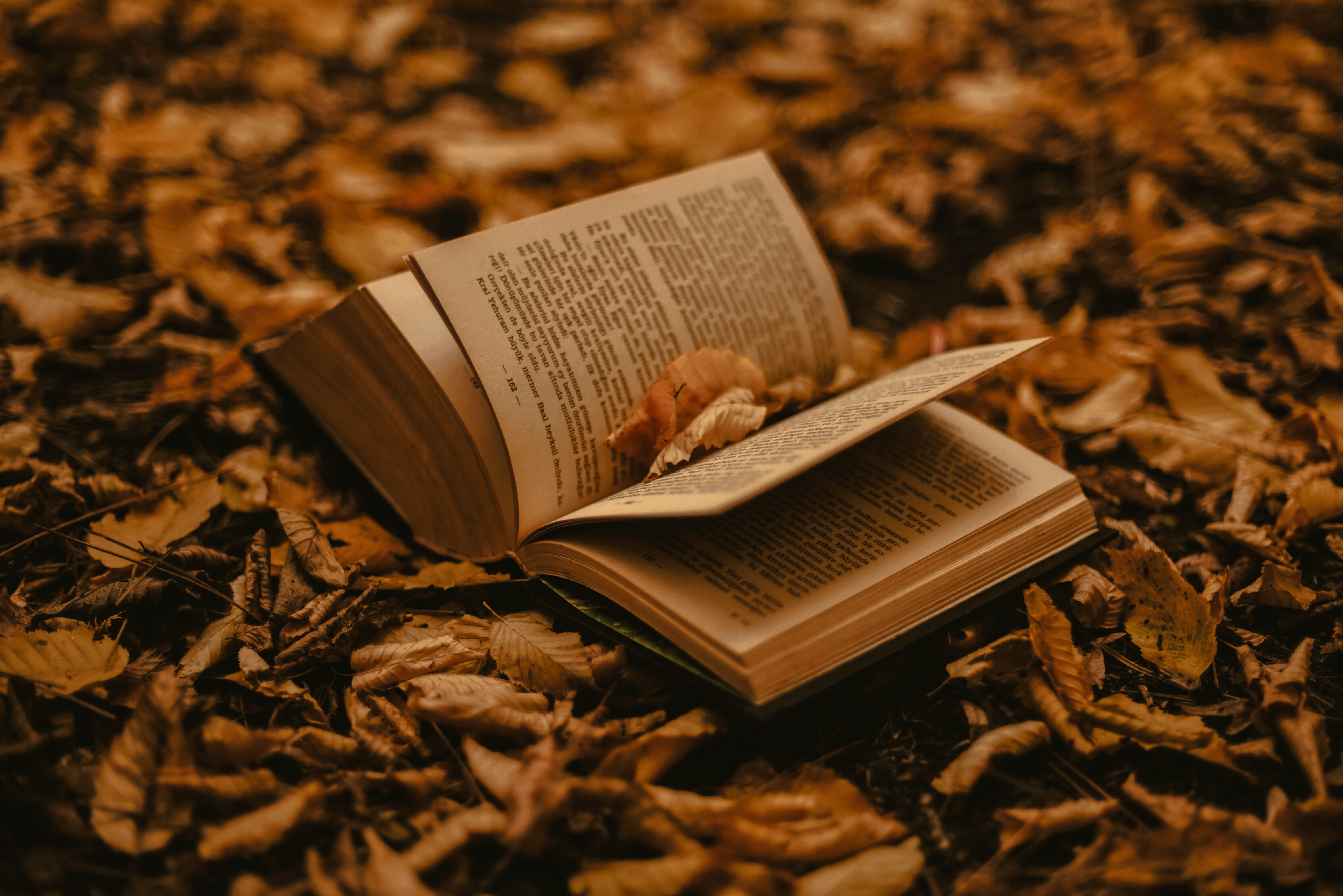 Book in the leaves