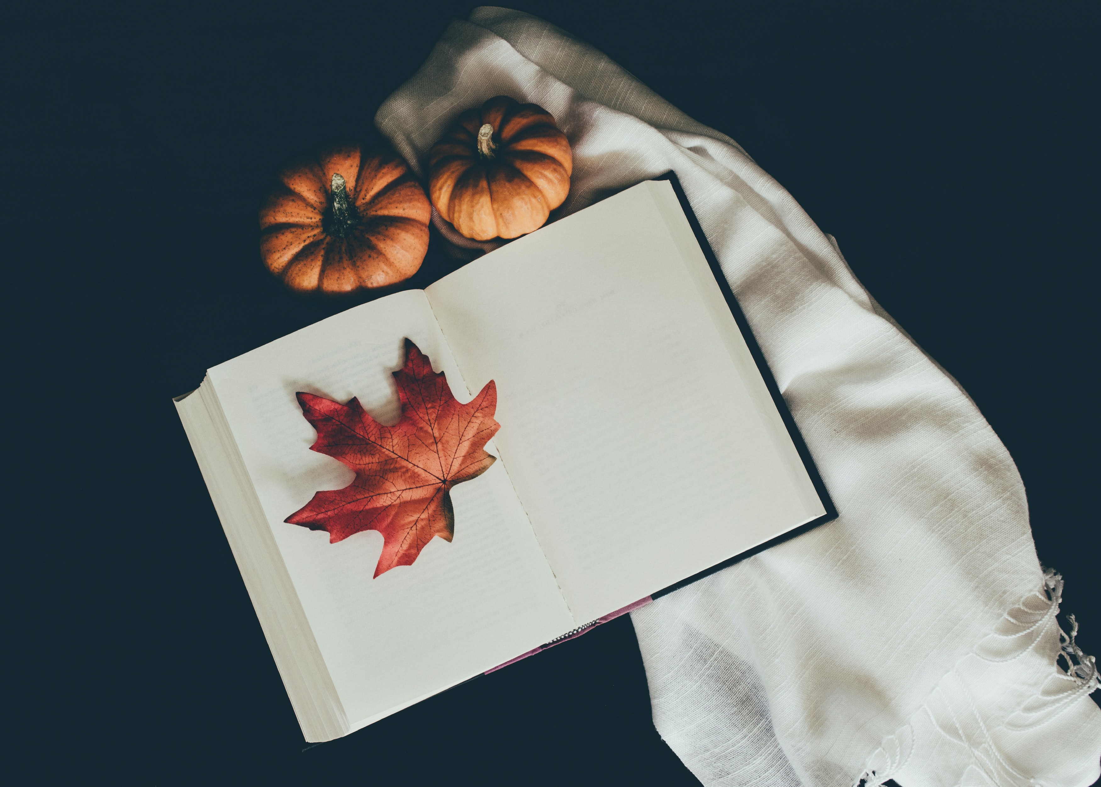 A book is open across a soft white blanket, with a maple leaf on top and two small orange pumpkins beside it.