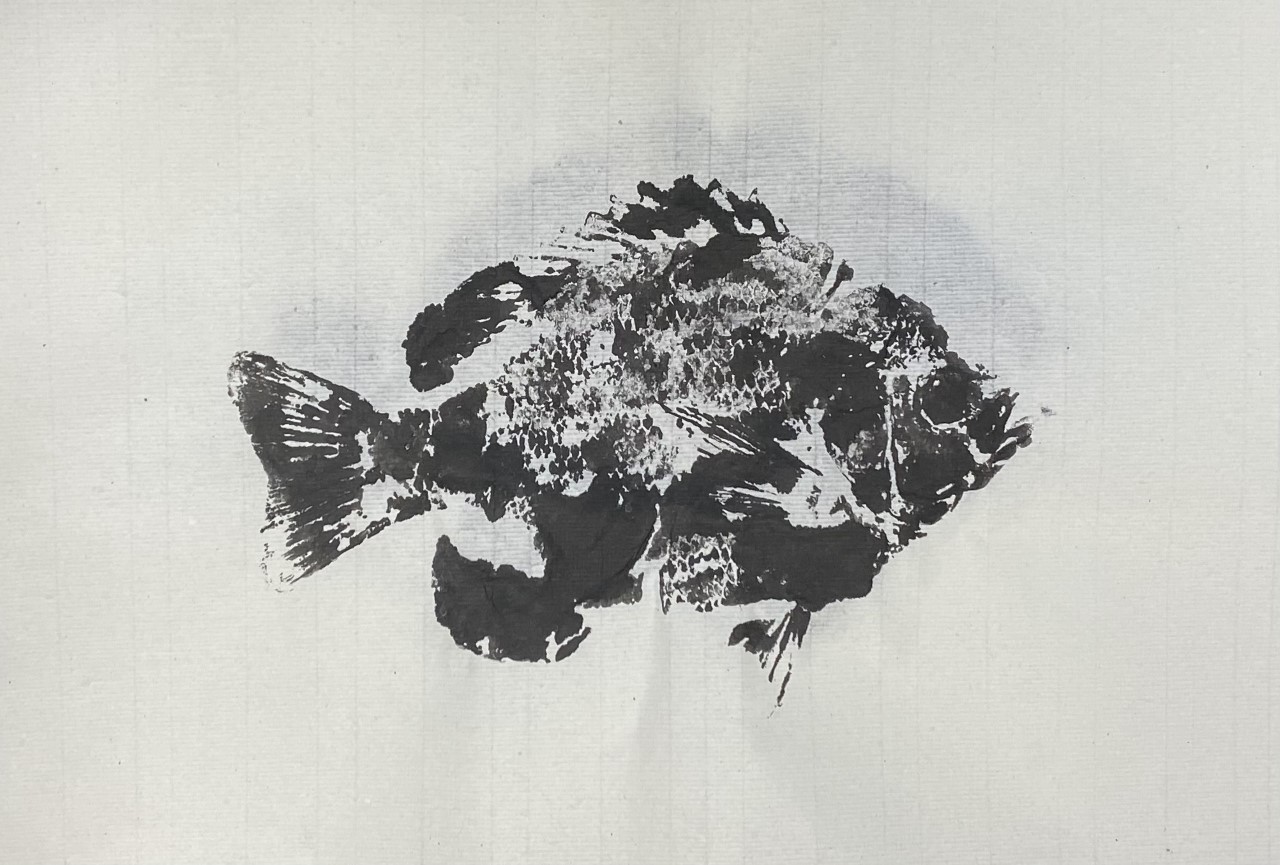 print of a fish in black ink 