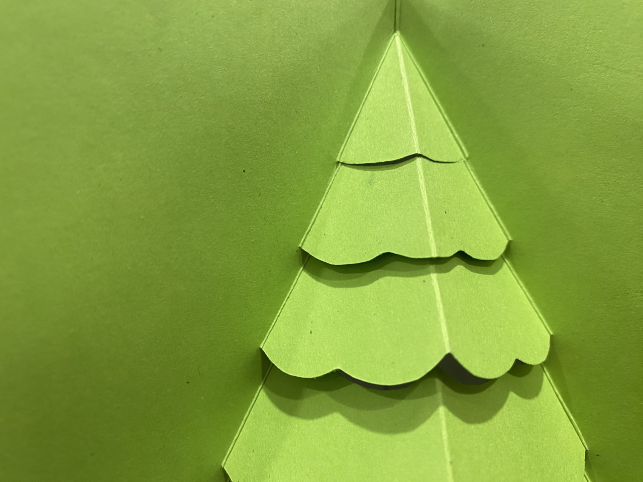 close up image of a pine tree pop up card