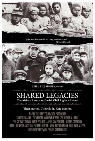 film poster for shared legacies