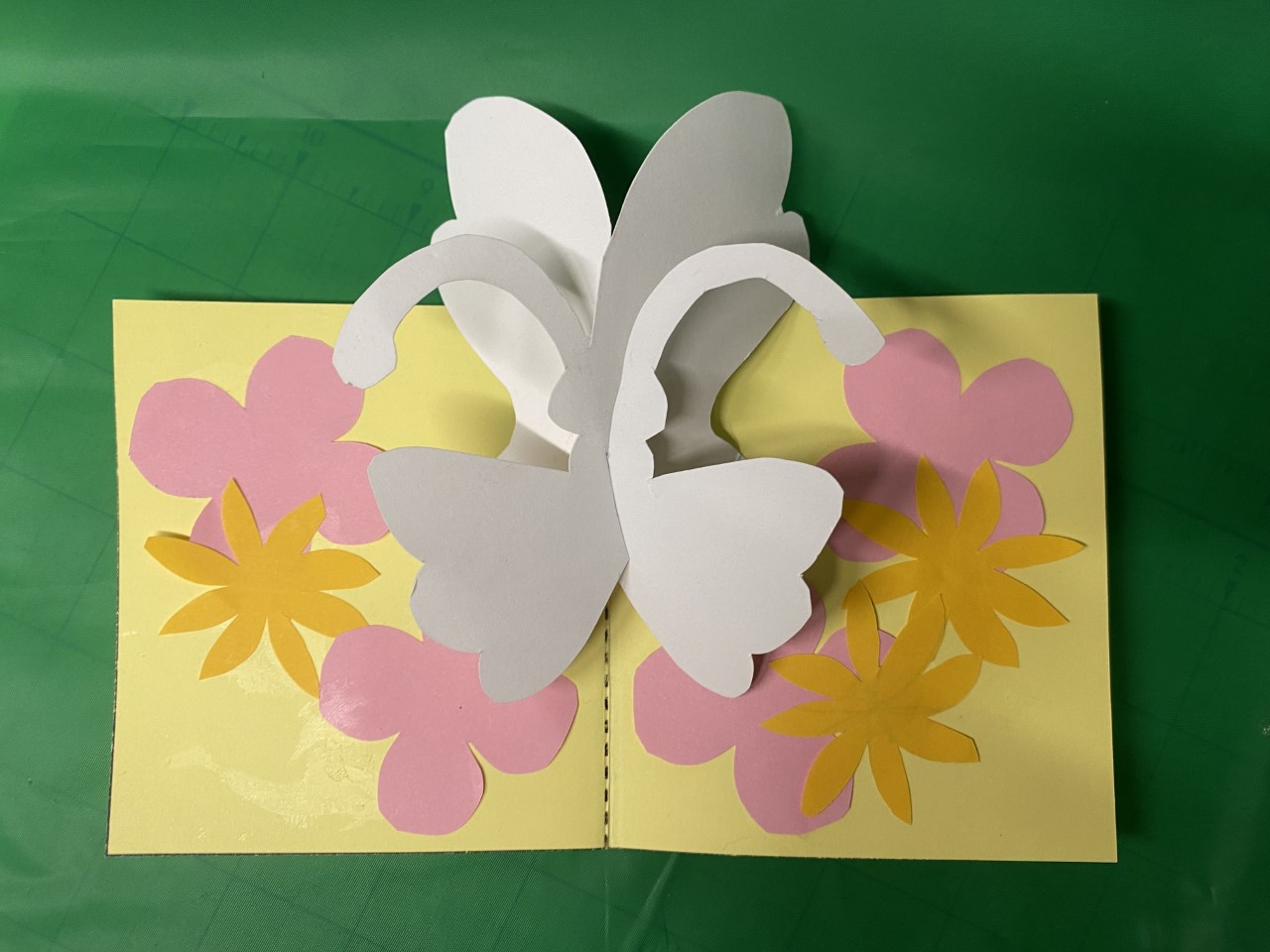 image of a pop up card of a butterfly