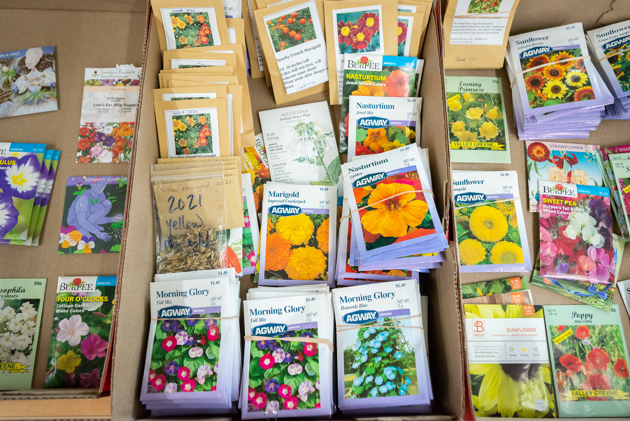 Packets of flower seeds