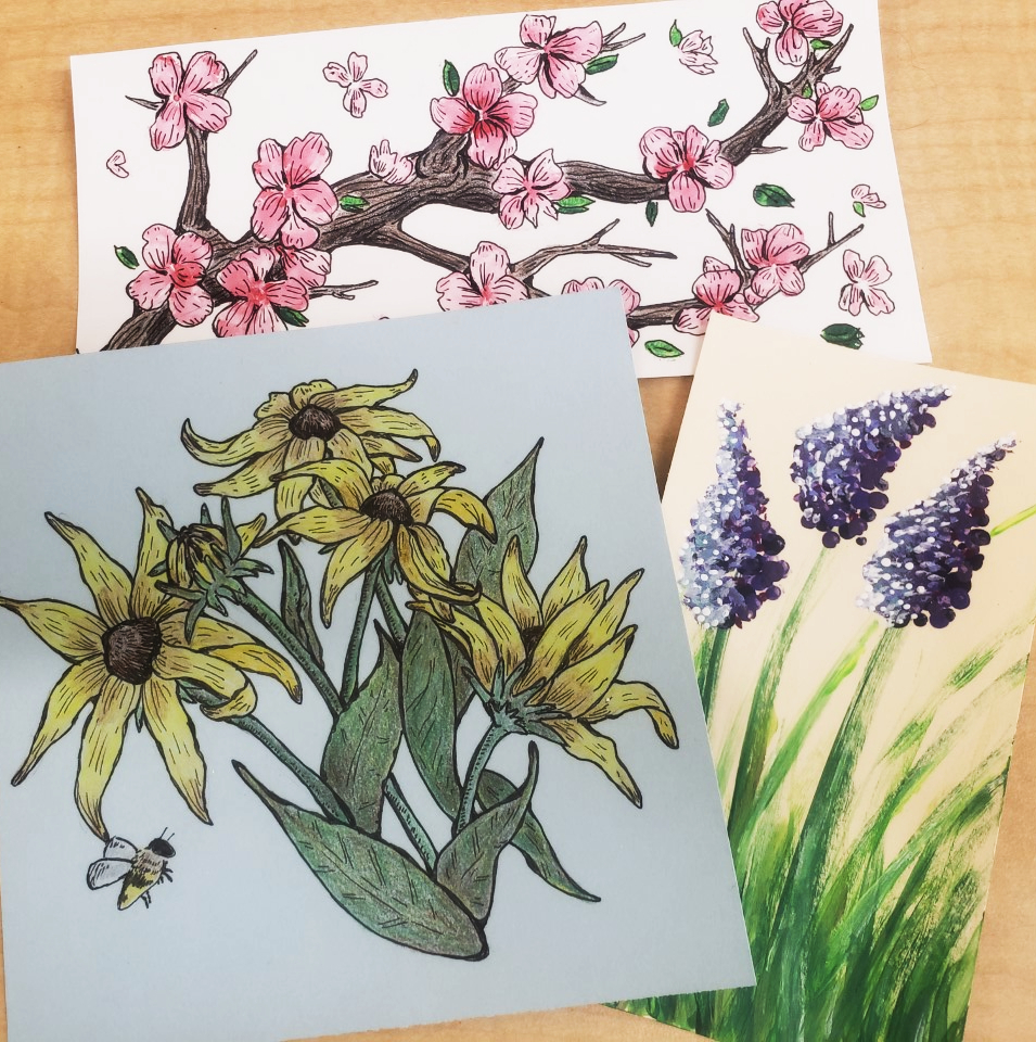 a selection of floral drawings