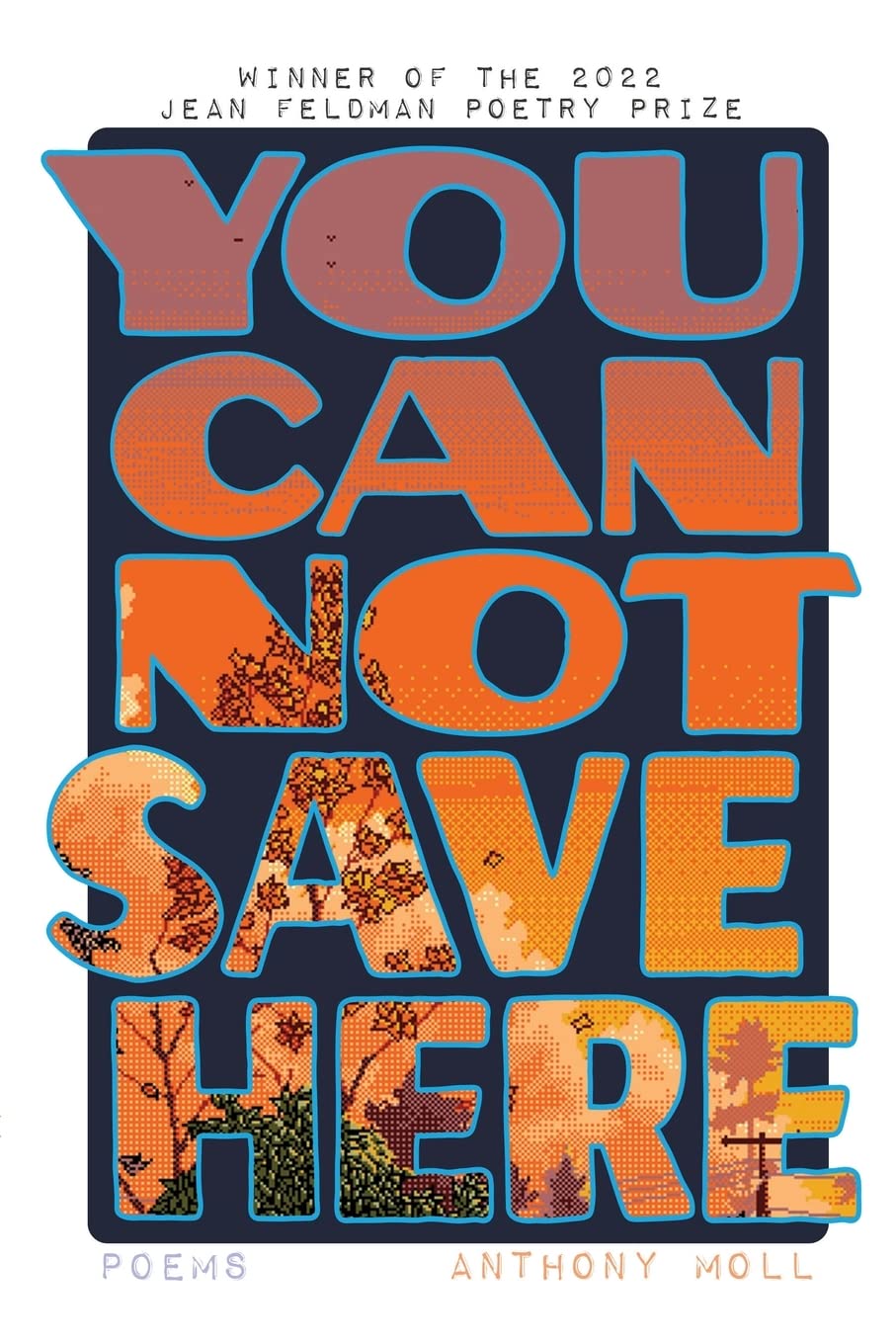 Image of front cover of book, titled "You Cannot Save Here"