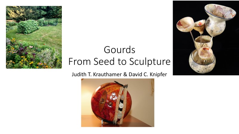 Gourds From Seed to Sculpture with pictures of 3 decorative gourds