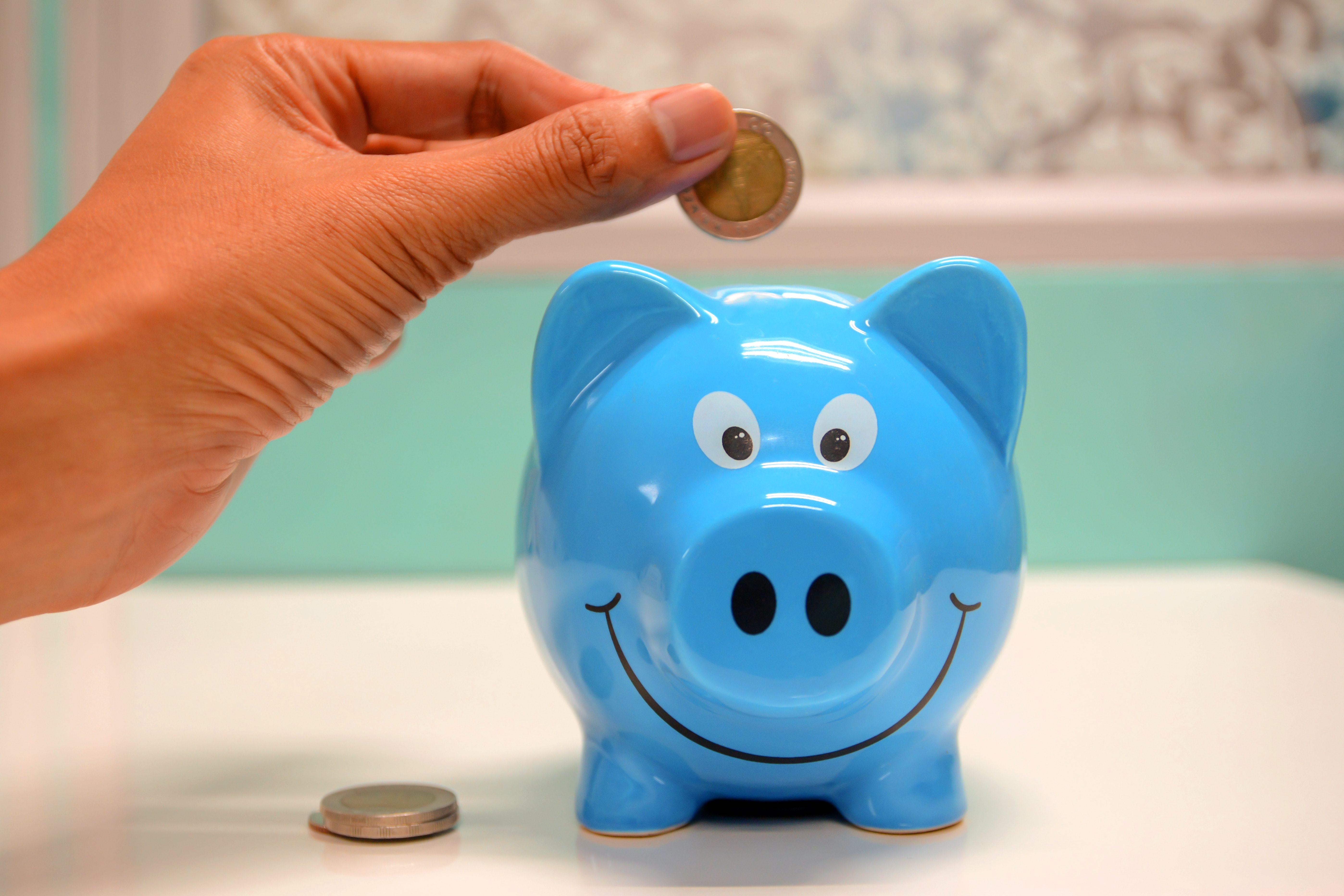 blue piggy bank