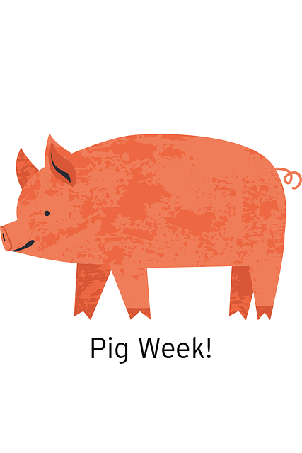 Pig Week
