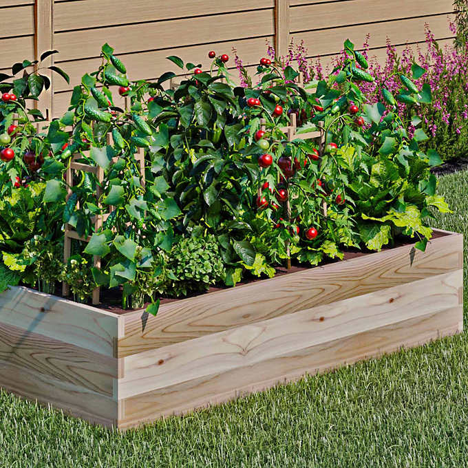 raised wood garden bed with vegetables growing