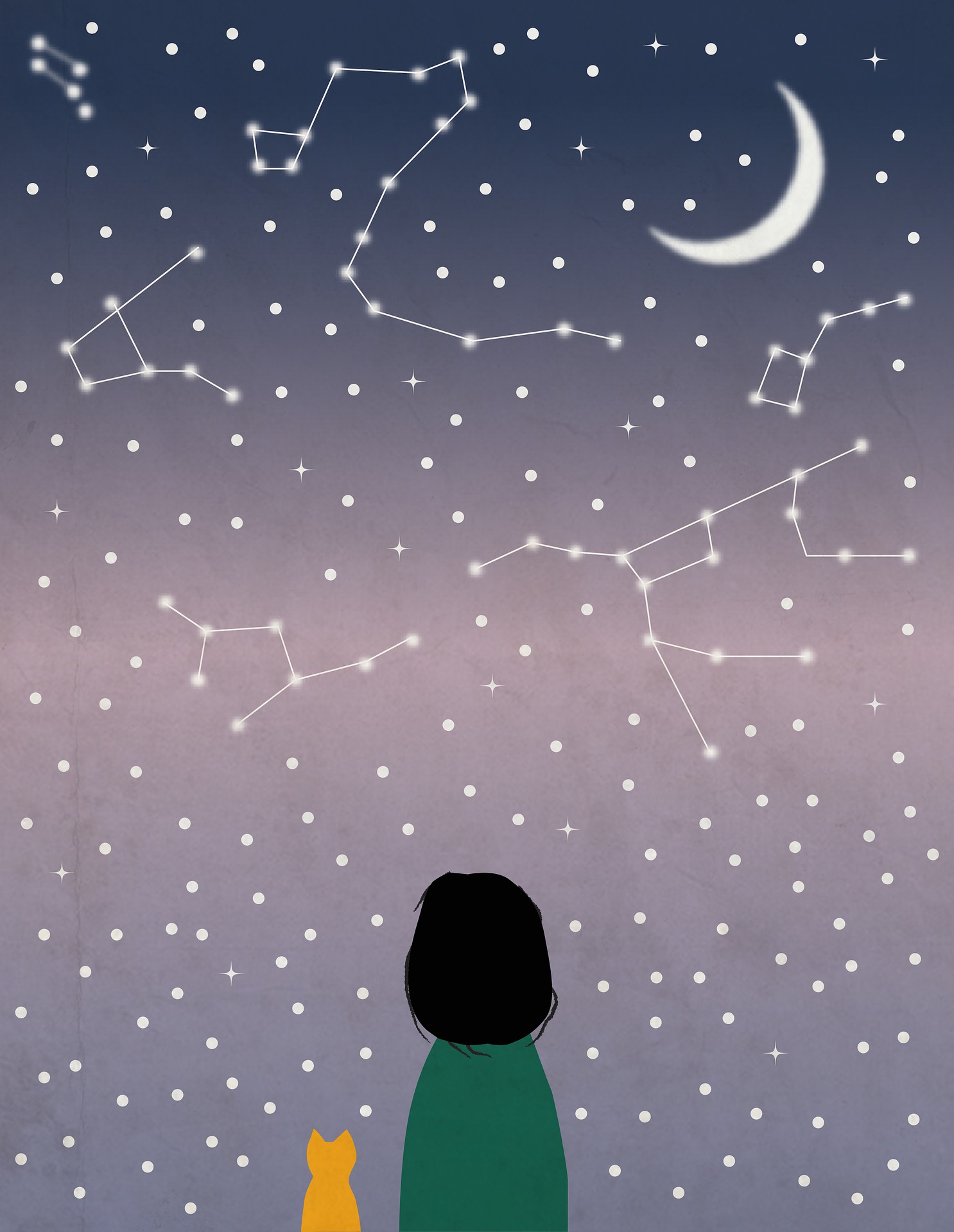 This image depicts a person and a cat looking up at the night sky, which is full of stars. 