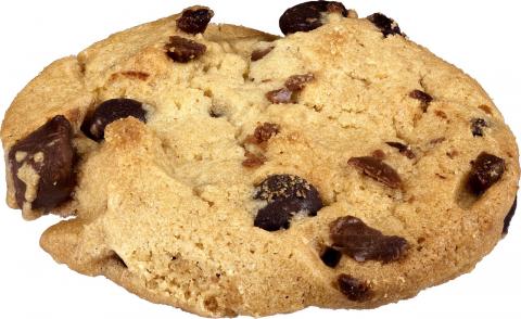 single chocolate chip cookie