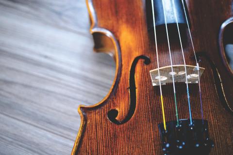 close up image of a violin showing mostly the middle of the left side of the instrument along with the strings