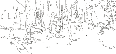 line drawing of trees and forest