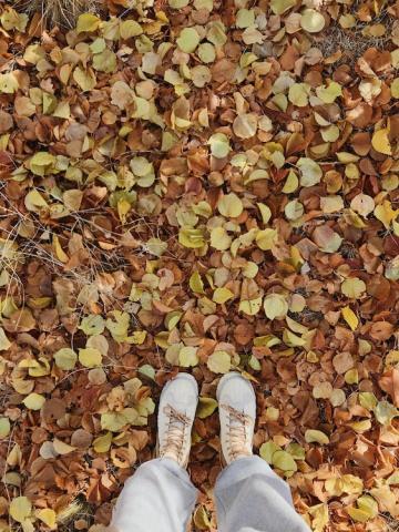 leaves with feet