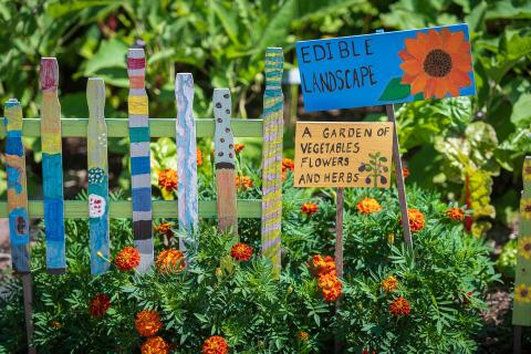 Edible landscape in the Enchanted Garden