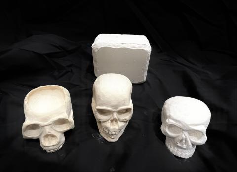 Plaster Skulls