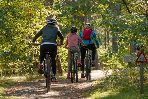 family riding bikes