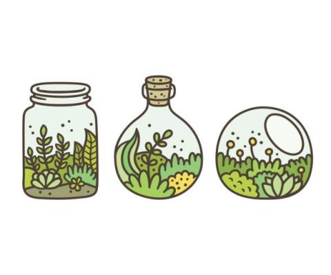 stock photo of terrariums