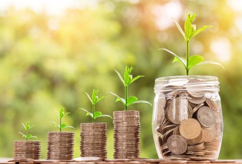 stacks of coins and plants growing on top