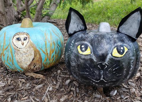 2 painted pumpkins 1 with a cat face one of an owl sitting in the grass