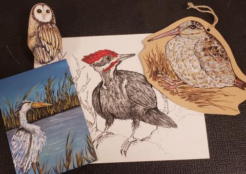 a selection of bird drawings and paintings