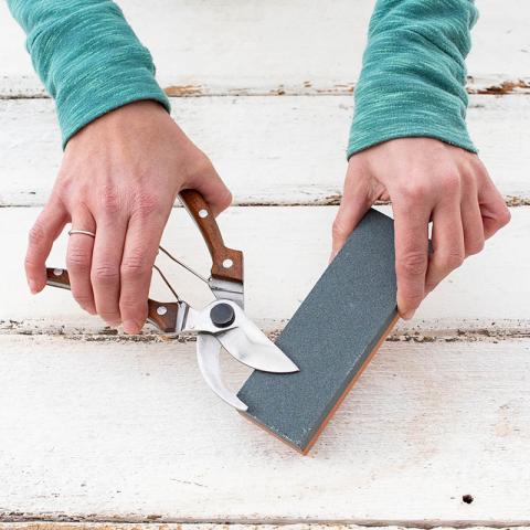 Photo of garden pruners being sharpened.