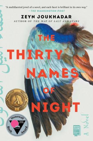 book cover; the title text is in bold red-orange typeface, overlaid on the illustration of a blue and brown bird wing.