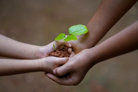 Two sets of arms reach out from either side to meet in the middle, holding a seedling in soil with cupped hands.