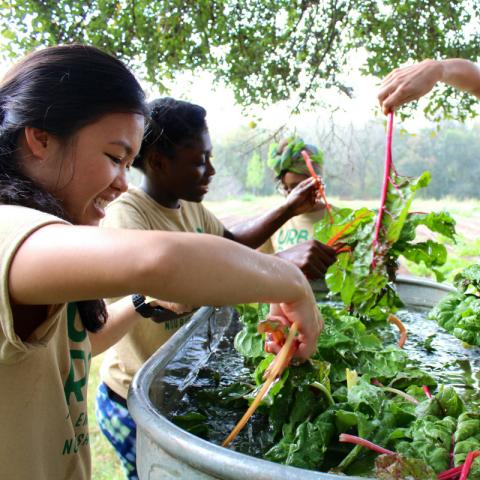 Teens in the garden.