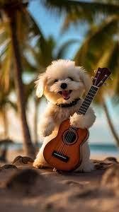 puppy on beach with ukulele on beach