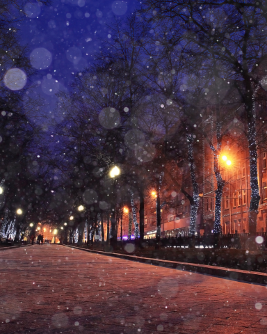 Wintry City Scene