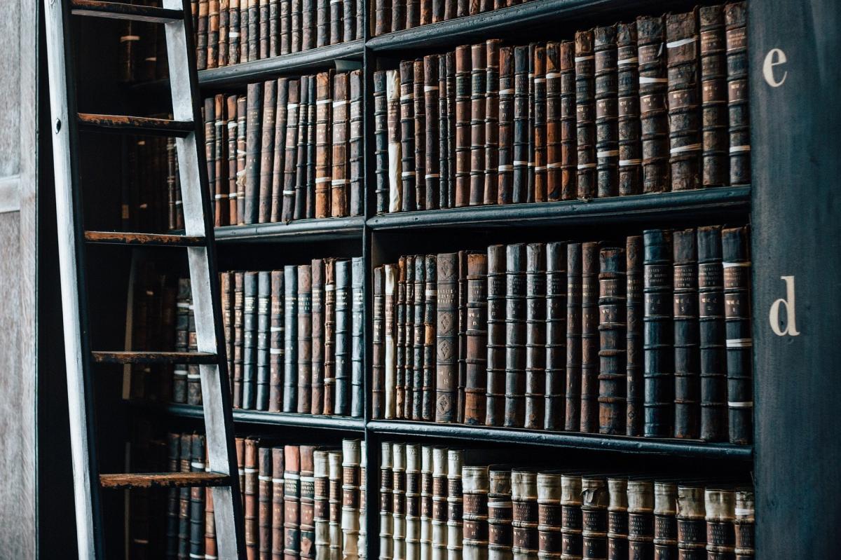 bookshelf full of old leather bound books with a bluish tint