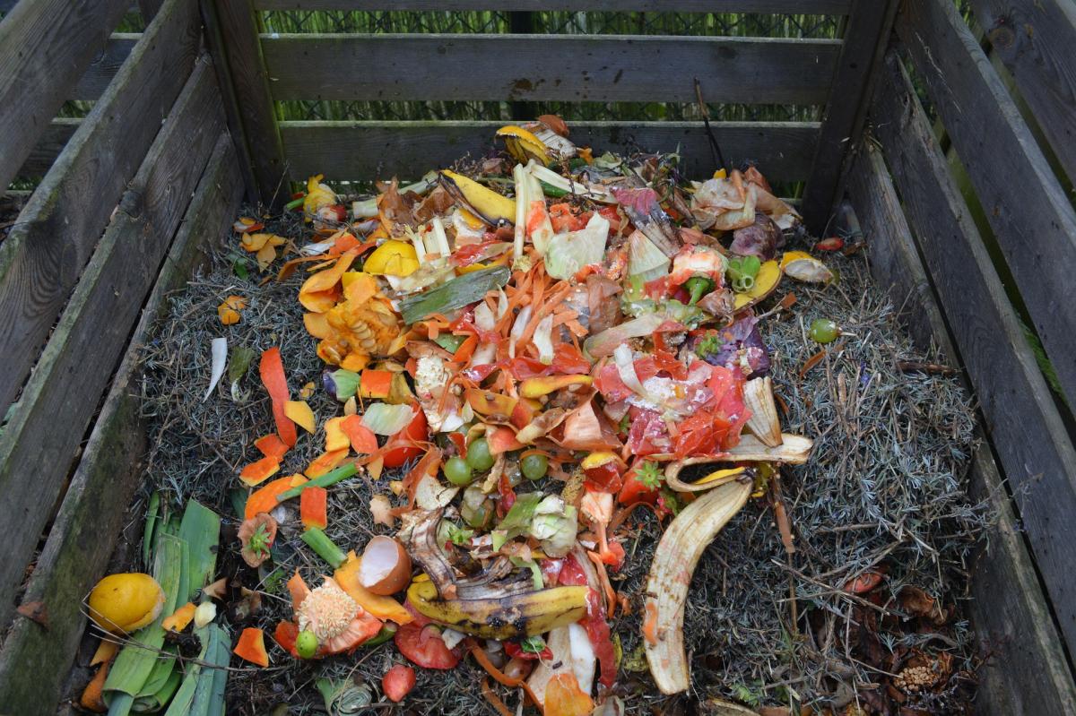 Food scraps in compost bin