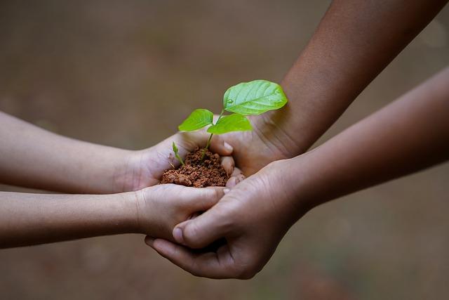 Two sets of arms reach out from either side to meet in the middle, holding a seedling in soil with cupped hands.